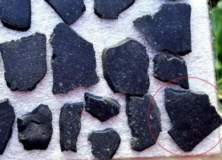 Aguas Zarcas Costa Rica CM2 crusted carbonaceous chondrite meteorite slice 3