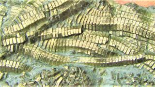 Uncommon Pyrite Crinoid 60mm Fossil Uk Jurassic Pentacrinites Fossilis Charmouth