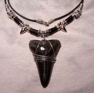 Huge 2 1/8 " Mako Shark Tooth Teeth Necklace Fossil Jaw Megalodon Fishing