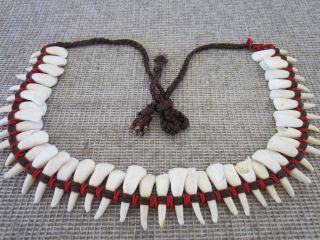 Vintage,  Western,  Necklace,  Made From 43 Buffalo Teeth