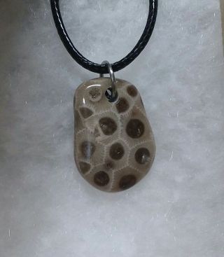 Michigan Petoskey Stone Polished Pendant Necklace Hexagonaria Devonian (a)