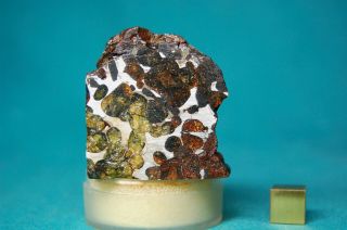 Sericho Pallasite Meteorite 131.  1 Grams