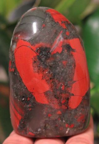 72mm 7.  7oz Natural Africa Bloodstone Jasper Pyrite Crystal Polished Gem