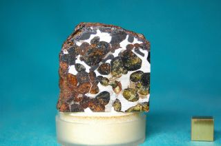 Sericho Pallasite meteorite 133.  8 grams 2