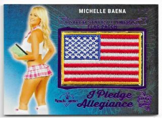 2019 Benchwarmer 25 Years Michelle Baena Purple 2018 Hft Flag Patch Card /2 1/2