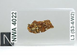 Meteorite NWA 4022 - L3 Chondrite Thin Section microscope slide 2