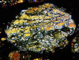 Meteorite NWA 4022 - L3 Chondrite Thin Section microscope slide 3
