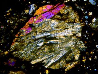 Meteorite NWA 4022 - L3 Chondrite Thin Section microscope slide 4