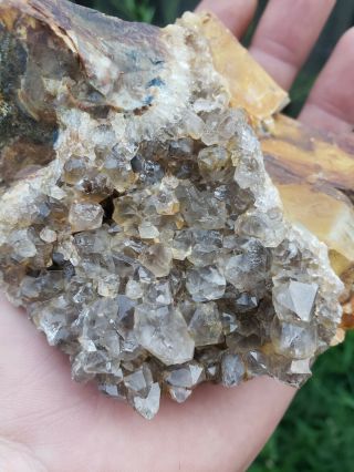 Clear Quartz Crystal Cluster Ohio Flint Real Item Photos