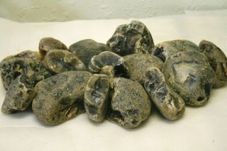 22 Lbs Rough Montana Agate For Slabs,  Cabs,  Lapidary,  Jewelry,  Crafts