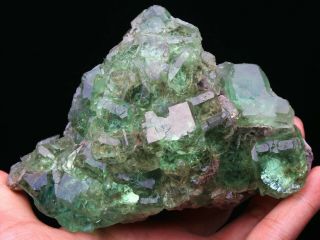 848g Find Natura Rare Vivid Green Cube Fluorite Mineral Specimen/china528