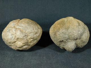 A Giant 100 Natural Moqui Marbles Or Shaman Stones From Utah 1415gr E