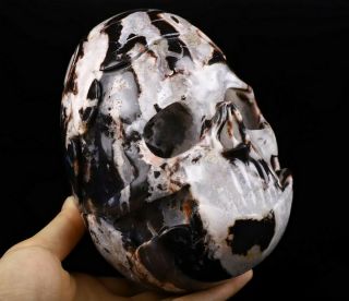 4.  8 " Black Zebra Agate Carved Crystal Egg Skull Sculpture,  Healing