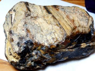 Petrified Wood Agate Cast 2 Lb.  6 Oz.  4 1/2 X 5 1/2 " Two Inches Thick