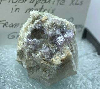 Fluorapatite Harvard Quarry Greenwood Maine Apatite Fine Mineral Specimen Rare