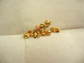 Alaska Placer Gold fine grains and small nuggets 0.  91 grams 17 to 22 K 2