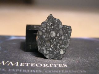 Nwa 11850 - Highly Contrasted Cv3 Carbonaceous Chondrite