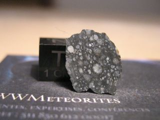 NWA 11850 - Highly Contrasted CV3 Carbonaceous Chondrite 2