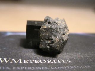 NWA 11850 - Highly Contrasted CV3 Carbonaceous Chondrite 3