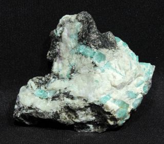 Numerous Emerald Crystals In Matrix From Curlew Emerald Mine,  Western Australia