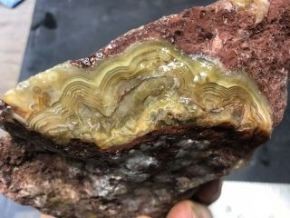 Crazy Lace Agate Rough 4lbs 5oz Slab Jasper Banded Mexico Old Stock Red Yellow