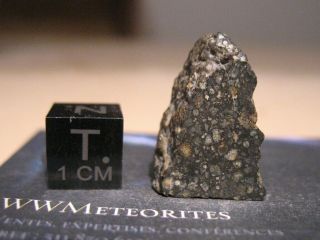 Meteorite Nwa 11533 - Carbonaceous Chondrite - Cv (oxidized Sub - Group)