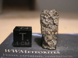 Meteorite NWA 11533 - Carbonaceous Chondrite - CV (Oxidized sub - group) 2