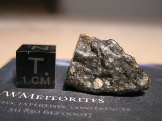 Meteorite NWA 11533 - Carbonaceous Chondrite - CV (Oxidized sub - group) 3