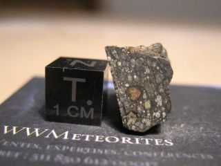 Meteorite NWA 11533 - Carbonaceous Chondrite - CV (Oxidized sub - group) 4