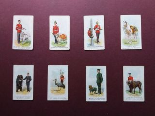 Regimental Pets Issued 1911 By Wills Scissors Set 33
