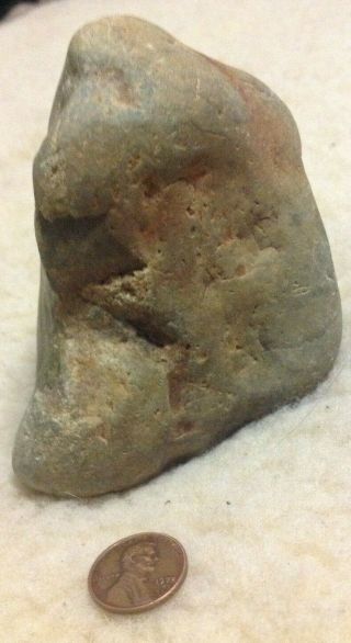 Great Prehistoric Dinosaur Embryo Fossil Take A Look 2