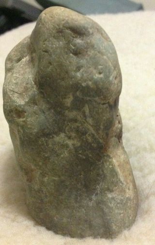 Great Prehistoric Dinosaur Embryo Fossil Take A Look 3