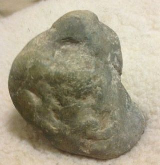 Great Prehistoric Dinosaur Embryo Fossil Take A Look 4