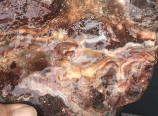 Crazy Lace Agate Rough 8lbs 7oz Slab Cab Jasper Banded Mexico Old Stock