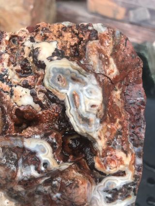 Crazy Lace Agate Rough 8lbs 7oz Slab Cab Jasper Banded Mexico Old Stock 2