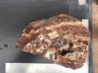 Crazy Lace Agate Rough 8lbs 7oz Slab Cab Jasper Banded Mexico Old Stock 5