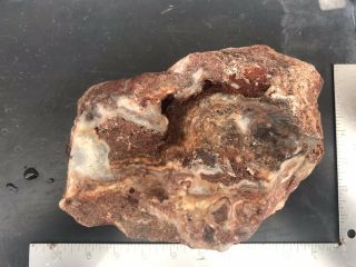 Crazy Lace Agate Rough 8lbs 7oz Slab Cab Jasper Banded Mexico Old Stock 8