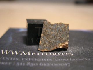Meteorite Nwa 12332 - Unequilib.  Chondrite - Ll3 (estimated 3.  15 Subtype)