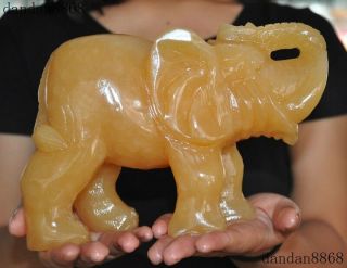 Chinese 100 Natural Yellow Jade Hand Carved Fengshui Auspicious Elephant Statue