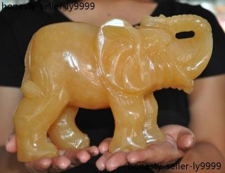 China 100 Natural Yellow Jade Carved Feng Shui Elephant Elephants Animal Statue