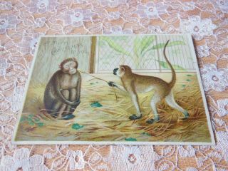 Victorian Christmas Card/monkeytickling Other Monkey With Wheat Shaft