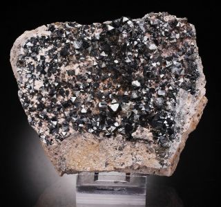 Magnetite - Lustrous Crystals On Matrix - 12 Cm - Bolivia /an417