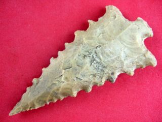 Fine Quality Authentic 3 1/2 Florida South Prong Creek Point Indian Arrowheads