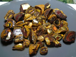Lapidary: 4405 Carat Parcel Of Natural Yowah Nuts.  Boulder Opal Rough Specimens