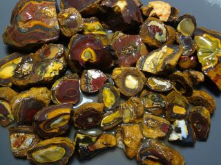 Lapidary: 4040 Carat Parcel Of Natural Yowah Nuts.  Boulder Opal Rough Specimens