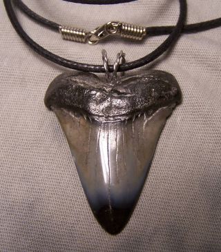 1 11/16 " Mako Wireless Pendant Shark Tooth Teeth Fossil Necklace Jaw Megalodon