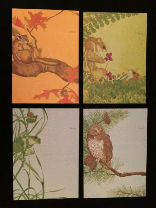 Vintage Current Wildlife Just - A - Note LK Powell Fold - A - Note Postalette Stationery 3