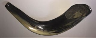 A.  Ribak - Jewish Shofar Large Ram Horn Polished Size 15 Inches / 38 Cm