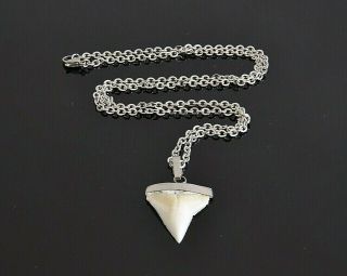 Modern Great White Shark Tooth Necklace Silver Cap & Stainless Steel Chain 2.  2mm 2