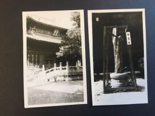 The Winter Palace Southern Peiping China Vintage 12 Small Photos 1945 - 1949 8